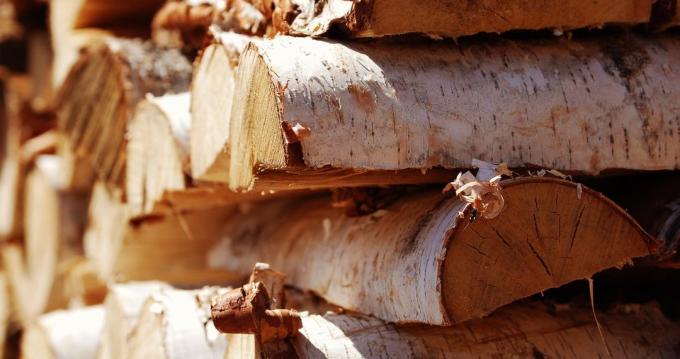 madera de abedul es casi ideal para la cámara de combustión del horno